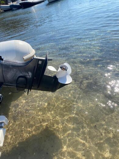 Palau Without license BSC BSC 50 SPECIAL alt tag text