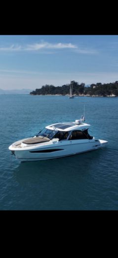 Motorboat GREENLINE NEO Planimetria della barca