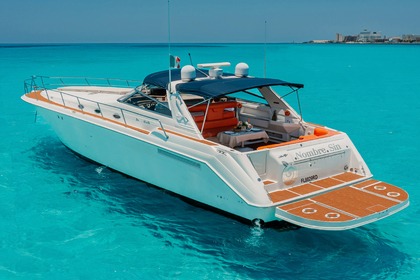 Charter Motor yacht Sea Ray SUNDANCER Cancún