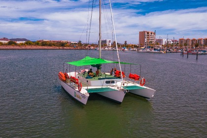 Location Catamaran Trireme Trimaran 43 Mazatlán