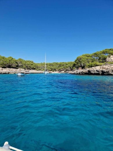 Кала-д’Ор RIB VD PRO VD PRO alt tag text