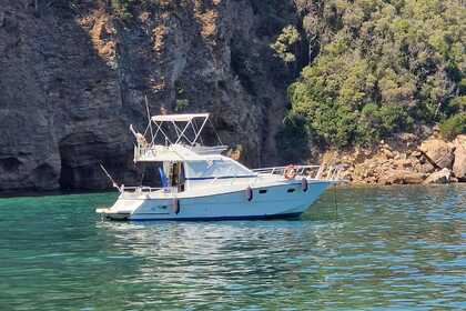 Ενοικίαση Μηχανοκίνητο σκάφος Ars monaco 31 fly Bocca di Magra