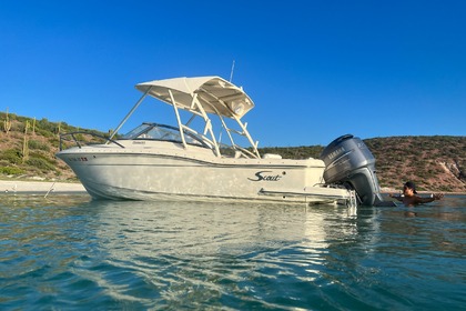 Charter Motorboat Scout 2006 La Paz