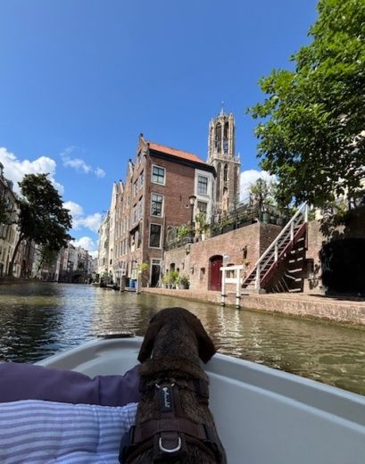 Utrecht Without license Terhi 440 alt tag text