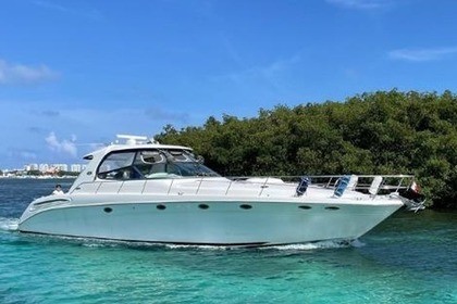 Miete Motorboot Sea Ray 60 Cancún