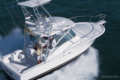 Hire Motorboat Luhrs 32 Opatija