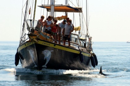Alquiler Velero Blue Water Vagabond 42 Benalmádena