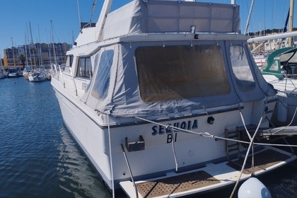 Rental Motorboat Marine Project Princess 415 Gruissan