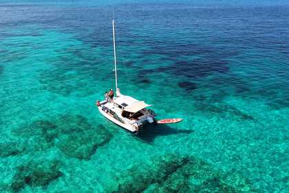 Noleggio Catamarano J.K Pipe & Sons LTD BobCat Catamaran 8M Sant Francesc Xavier