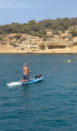 Пальма Motorboat Sunseeker Superhawk 48 alt tag text