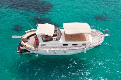 Charter Motorboat Menorquin 120 open Mallorca