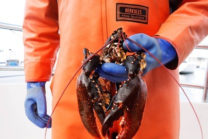 Hyra båt Motorbåt Stigfjord 37 Fjällbacka