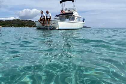 Charter Motorboat Bertram 31 Santa Teresa Gallura