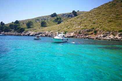 Rental Motorboat Blasco 80 Port de Pollença