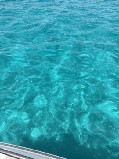 Менорка Without license Remus 450 alt tag text