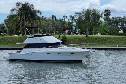 Charter Motorboat UNIESSE 42 FLY Ancona