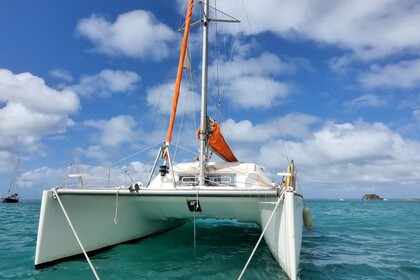 Location Catamaran Dufour Dufour Nautitech 395 Îles San Blas