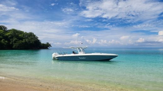 Motorboat Todomar 38 Plano del barco