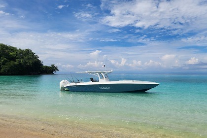 Charter Motorboat Todomar 38 Panama City