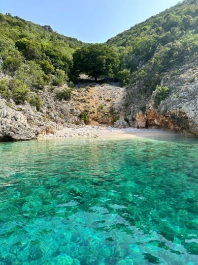 Rabac Motorboat Quicksilver Activ 755 Open alt tag text