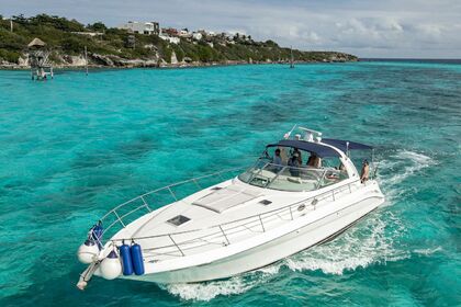 Miete Motorboot Sea Ray Sundancer Cancún