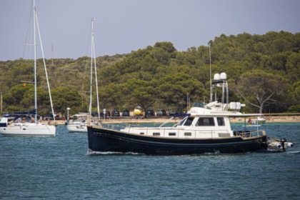 Charter Motorboat Menorquin 160 Fly Palma de Mallorca