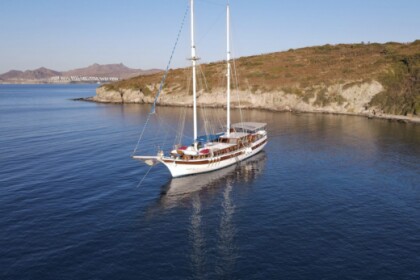 Noleggio Caicco CUSTOM BUİLT GULET Bodrum