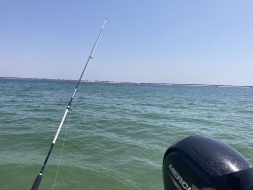 Talmont-Saint-Hilaire Motorboat Quicksilver Activ 675 Open + Bouée alt tag text