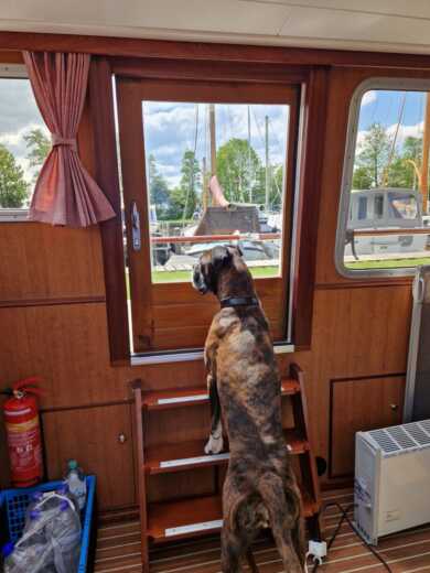 Koudum Houseboat Duetkruiser 1300 alt tag text