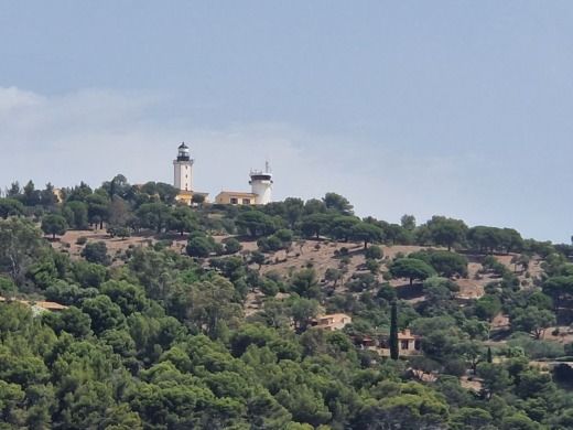 Кавалер-Сюр-Мер Motorboat B2 Marine Cap Ferret 500 II Open alt tag text