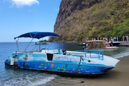 Charter Motorboat Bayliner Rendezvous Castries