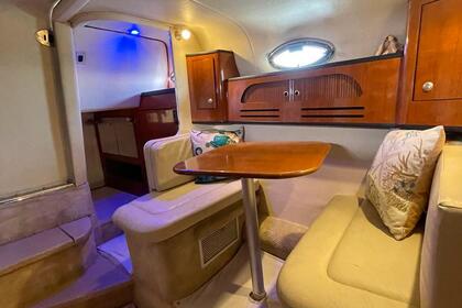 Alquiler Lancha Sea Ray 335 Sundancer Isla Mujeres