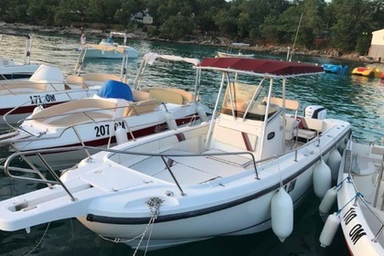 Hire Motorboat BOSTON WHALER 26 Malinska