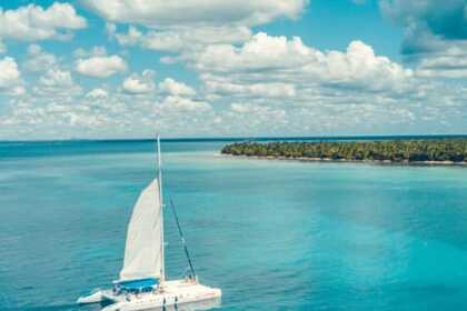 Alquiler Lancha Cat 223 223 Isla Saona