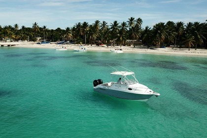 Rental Motorboat Wellcraft costal 23 Bayahibe