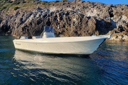 Charter Motorboat Aguasport 7 metri Porto Ercole