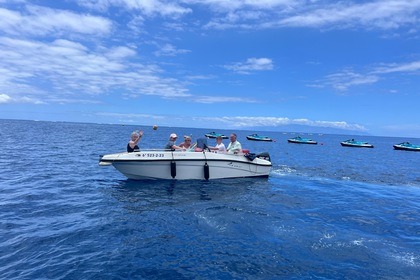 Ενοικίαση Μηχανοκίνητο σκάφος LGK MARINE P.Q. NIREUS BOAT NIREUS 4.90 OPTIMA Costa Adeje