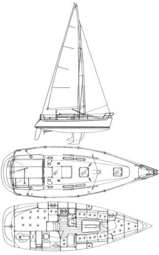 Sailboat Elan 295 Boat layout