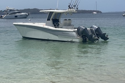 Charter Motorboat Worldcat 280 CCX Panama City