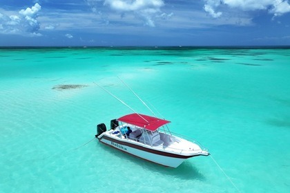 Alquiler Lancha power catamaran CATAMARAN 30 Bayahibe