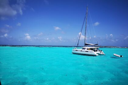 Location Catamaran NAUTITECH Nautitech Open 40 Le Marin