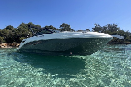 Verhuur Motorboot Sea Ray 250 SDX Fréjus