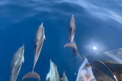 Aluguel Lancha Jeanneau MERRY FISCHER 1095 Saint-Tropez