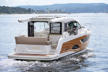 Rental Motorboat Sealine Sealine C390 Pula