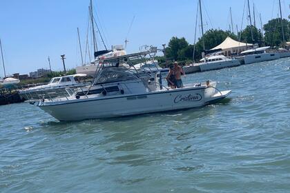 Чартер Моторная яхта Polyform Triakis C29 Фьюмичино