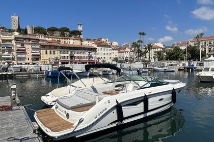 Noleggio Barca a motore SEA RAY 250 SUN SPORT Cannes