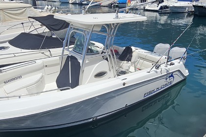Czarter Łódź motorowa Robalo R 260 cc Los Gigantes