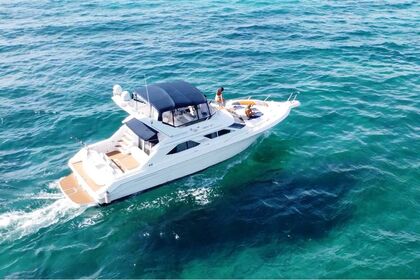 Rental Motor yacht Sea Ray SEDAN BRIDGE 47' Playa del Carmen