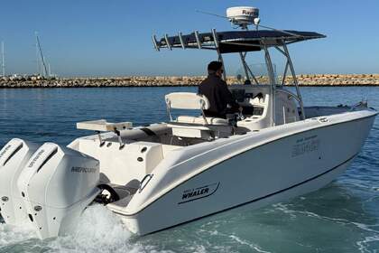 Miete Motorboot Boston Whaler 240 outrage Korfu
