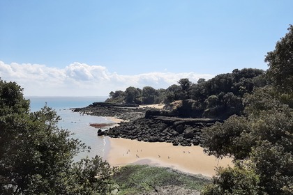 Noleggio Barca a motore Quicksilver weekend Fouras